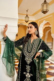 Winter Embroidered Velvet Dress With Organza embroidered Dopata QN1270