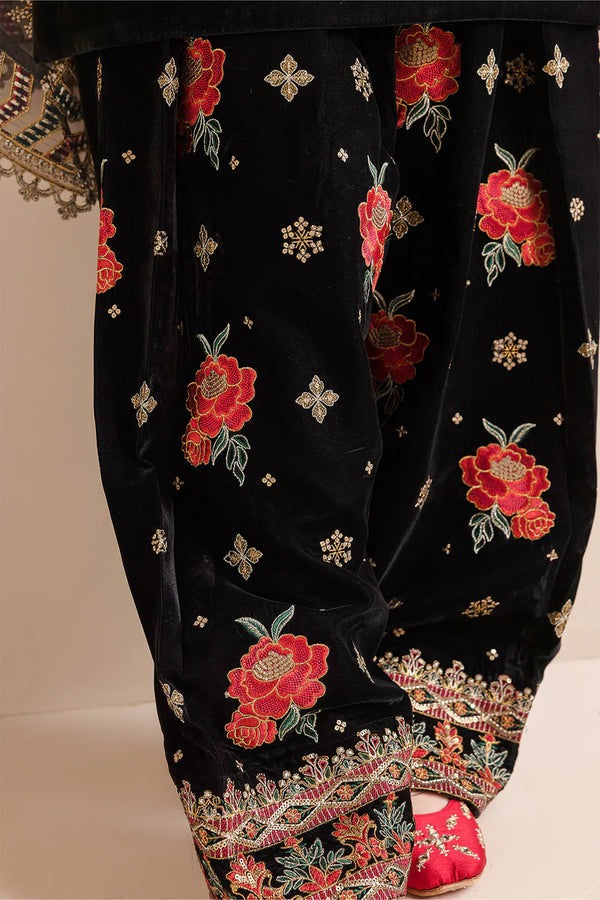 QN577 Embroidered Winter Velvet Dress With Organza embroidered Dopata - Qirat Noman