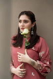 QN1065- 2PC Dhanak suit Embroidered